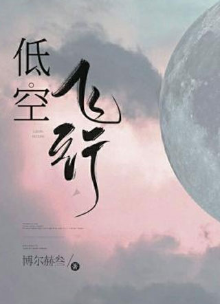何溪低空飞行小说