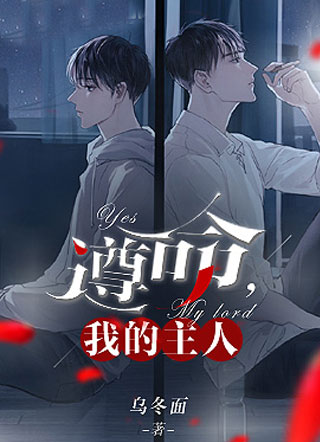 遵命，我的主人小说
