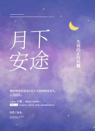 月下安途小说