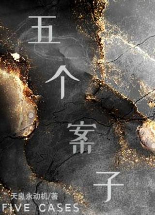 五个案子小说