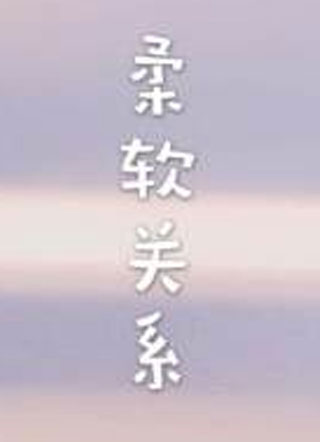 柔软关系贺昀迟小说