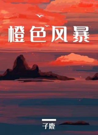 橙色风暴方颉小说