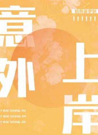 意外上岸叶肃语小说