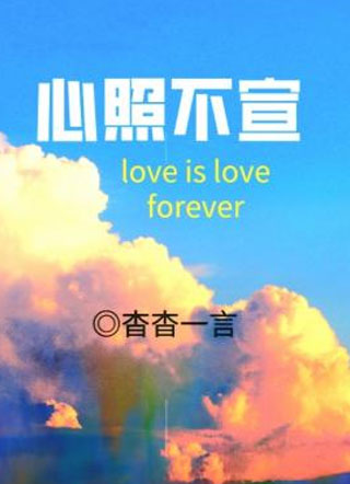 心照不宣秦照小说