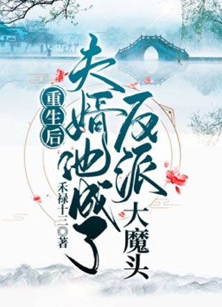 重生后夫婿他成了反派大魔头小说