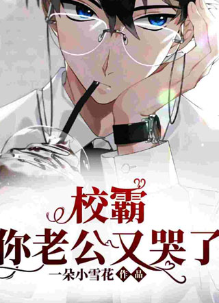 校霸，你老公又哭了闵景澄小说