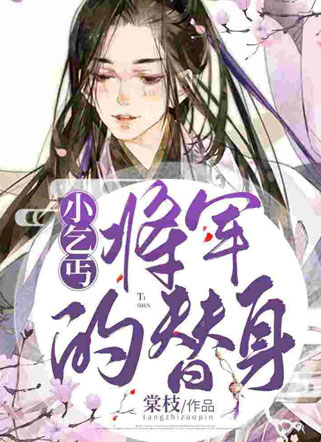 将军的小乞丐替身小说