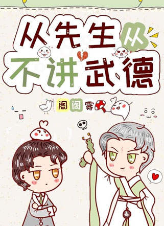 从先生从不讲武德小说