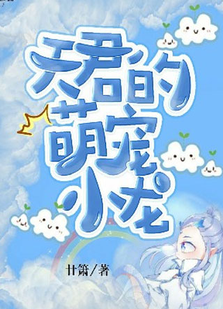 天君的萌宠小龙小说