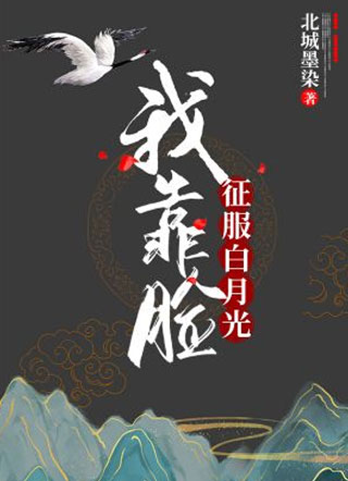 我靠脸征服白月光小说