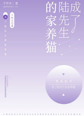 成了陆先生的家养猫小说