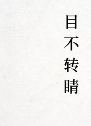 目不转睛小说