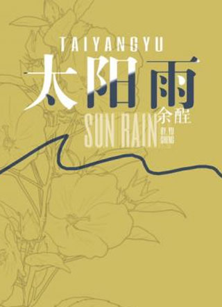 太阳雨时濛小说