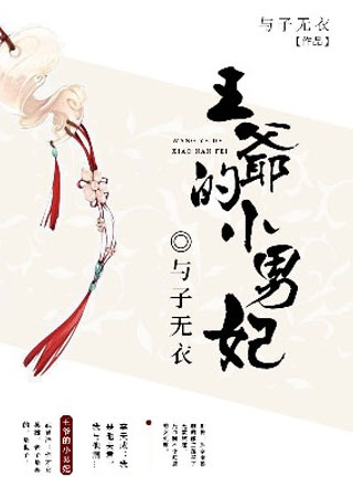 王爷的小男妃李天成小说