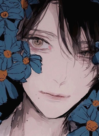 今生为你而来小说