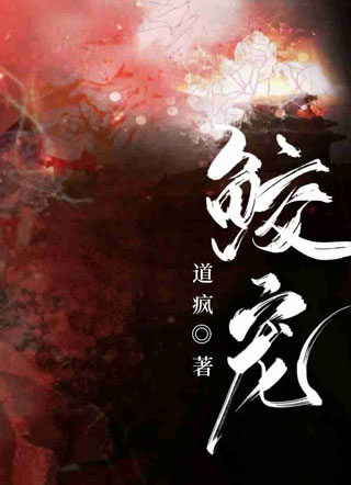 鲛宠小说