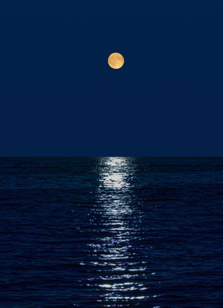 朕是你爸爸小说