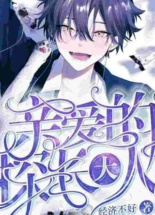 亲爱的探长大人小说