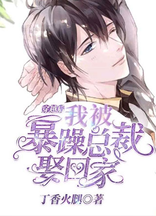 穿越后我被暴躁总裁娶回家小说