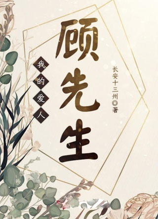 我的爱人顾先生小说