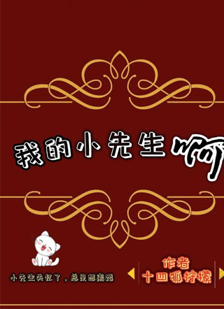 我的小先生啊小说