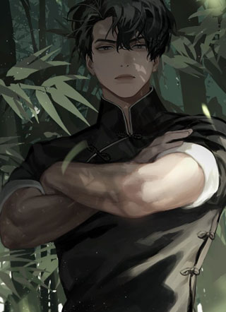 总裁家的大灰狼小说