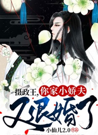 摄政王，你家王妃又退婚了小说