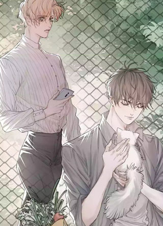 追求者茶艺满分小说