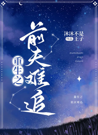 重生之前夫难追小说