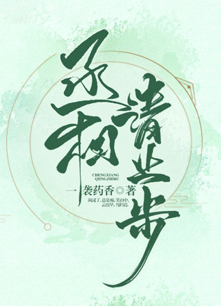 丞相请止步小说