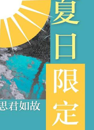 夏日限定夏宪小说