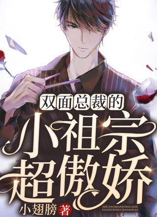 双面总裁的小祖宗超傲娇小说