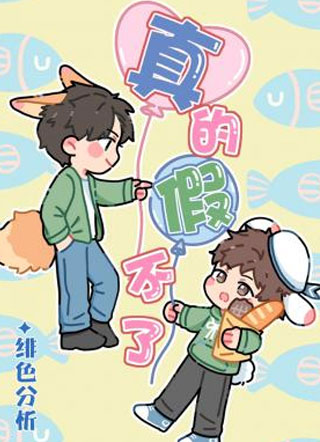 真的假不了小说