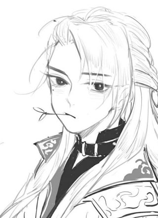美人寨主小说