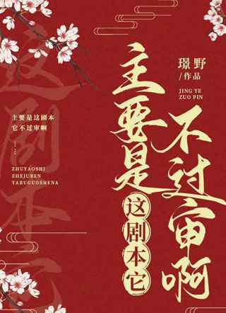 主要是这剧本它不过审啊小说