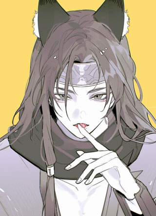 暗恋的十二年小说