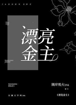 漂亮金主小说