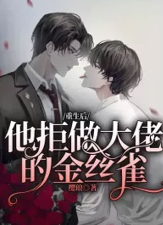 重生后，他拒做大佬的金丝雀小说