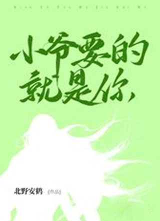 小爷要的就是你小说