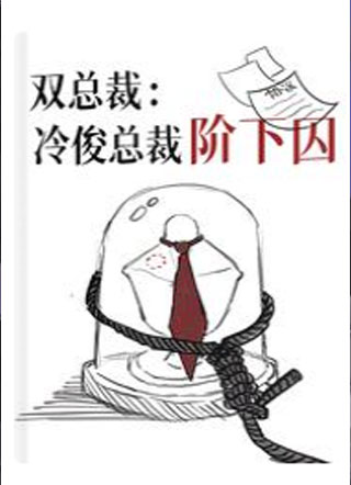 双总裁：冷俊总裁阶下囚小说
