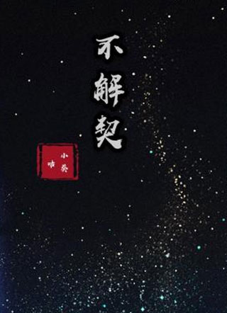 不解契小说