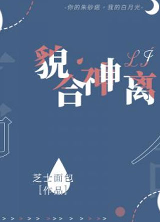貌合神离小说