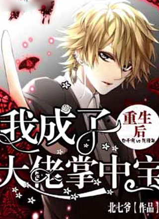 重生后我成了大佬掌中宝小说