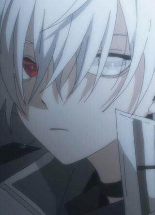 他的完美伴侣小说