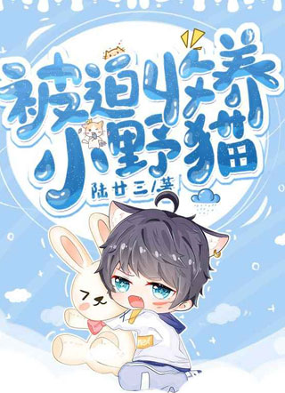 被迫收养小野猫陆廿三小说