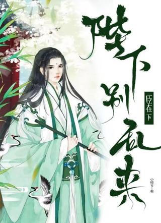臣在下：陛下别乱来！小说