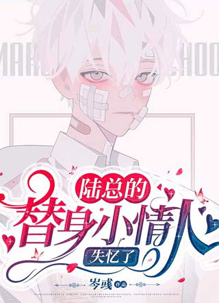 陆总的替身小情人失忆了沈阑小说