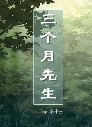 三个月先生小说