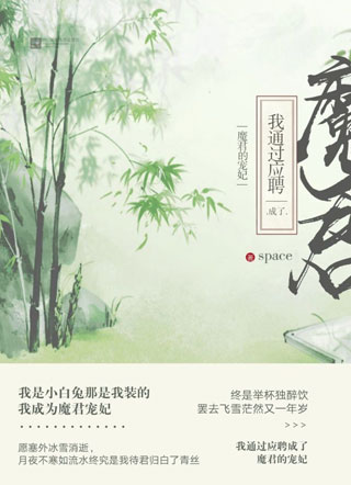 我通过应聘成了魔君的宠妃小说