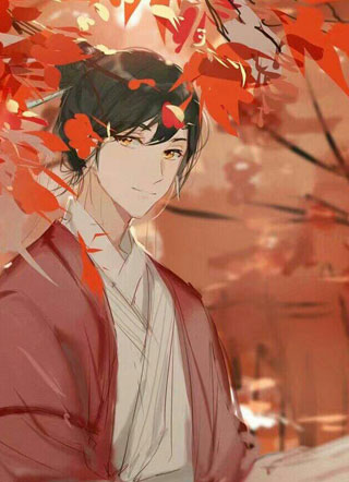 君主嫁人记九凤小说